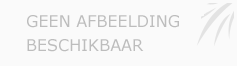 Afbeelding › Bastiuq Sound Services